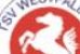 Westfalia Westerkappeln gewinnt Volksbank-Cup